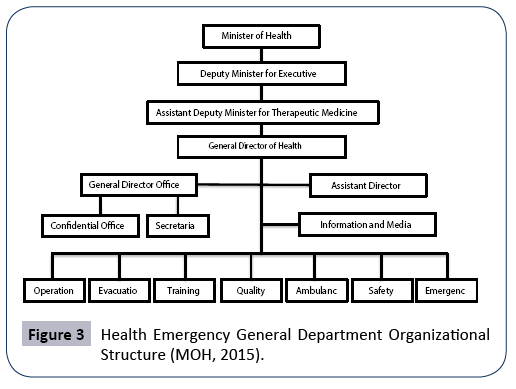 Hospital Department Organizational Chart