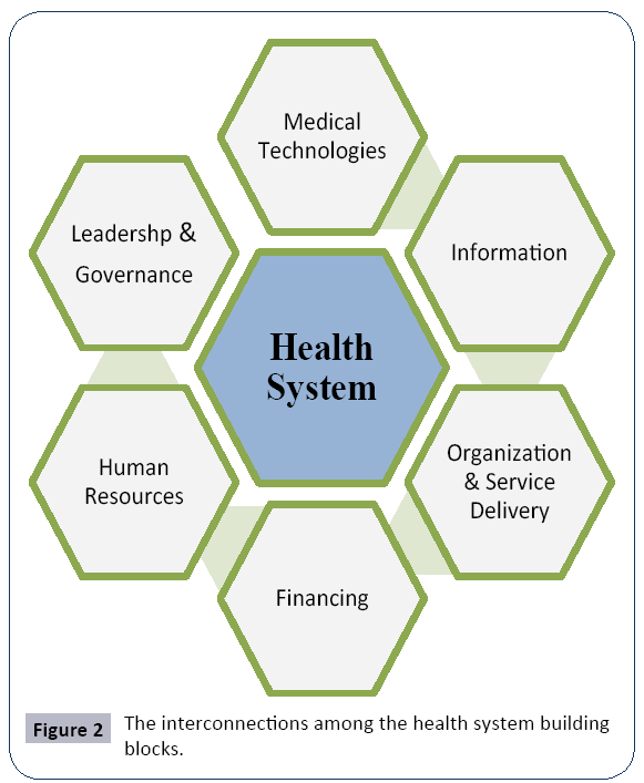 Structure Of Health Care System In Pakistan